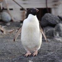 29 - Alexa Hasselman